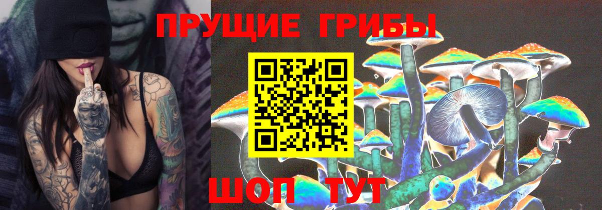 Галлюциногенные грибы Psilocybe Кизляр
